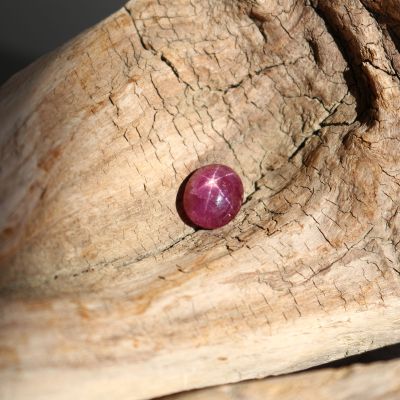 rubis étoilé 7,16 ct CHF 550